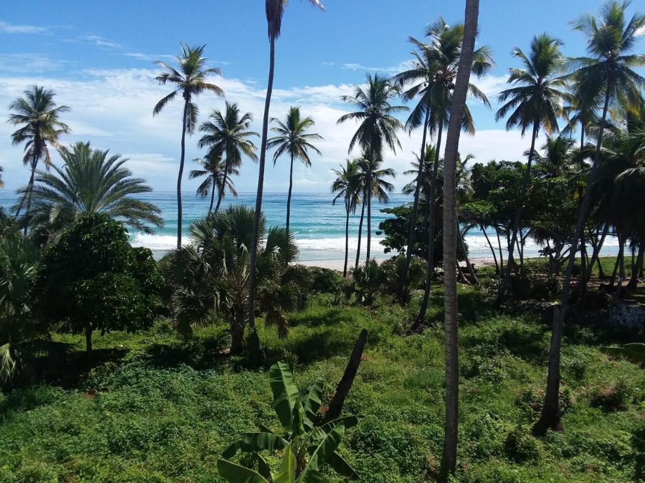 Oasi Encantada - Beach Resort Barahona Εξωτερικό φωτογραφία